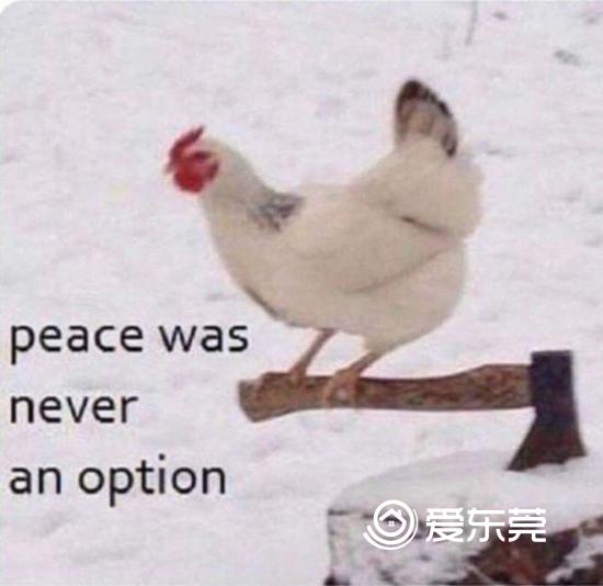 1578361318-3049-ee13-imrkkfx9635226