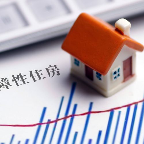 东莞将加大保障性租赁住房建设