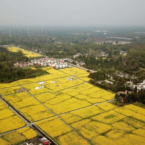 2022年大预测，30条预测详解，30分钟完整版
