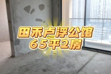 【样板】田禾卢浮公馆-65平-2房