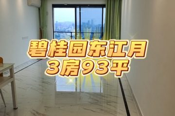 【样板】碧桂园东江月-93平-3房