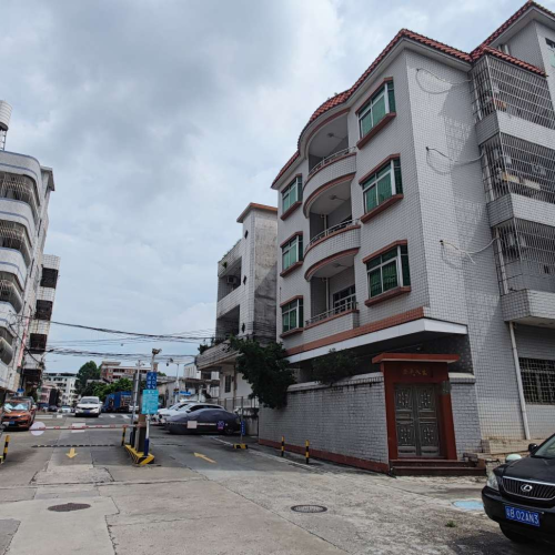 樟村附近自建房-东城