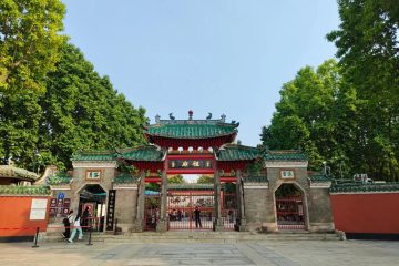 对佛山推进好房子建设的点评