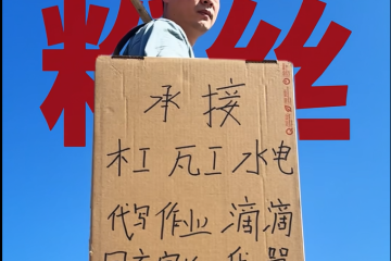 我用1665天，给自己装了一个家。