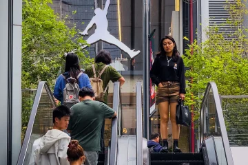 消失的中间地带：中国劳动力市场的“新二元结构”难题
